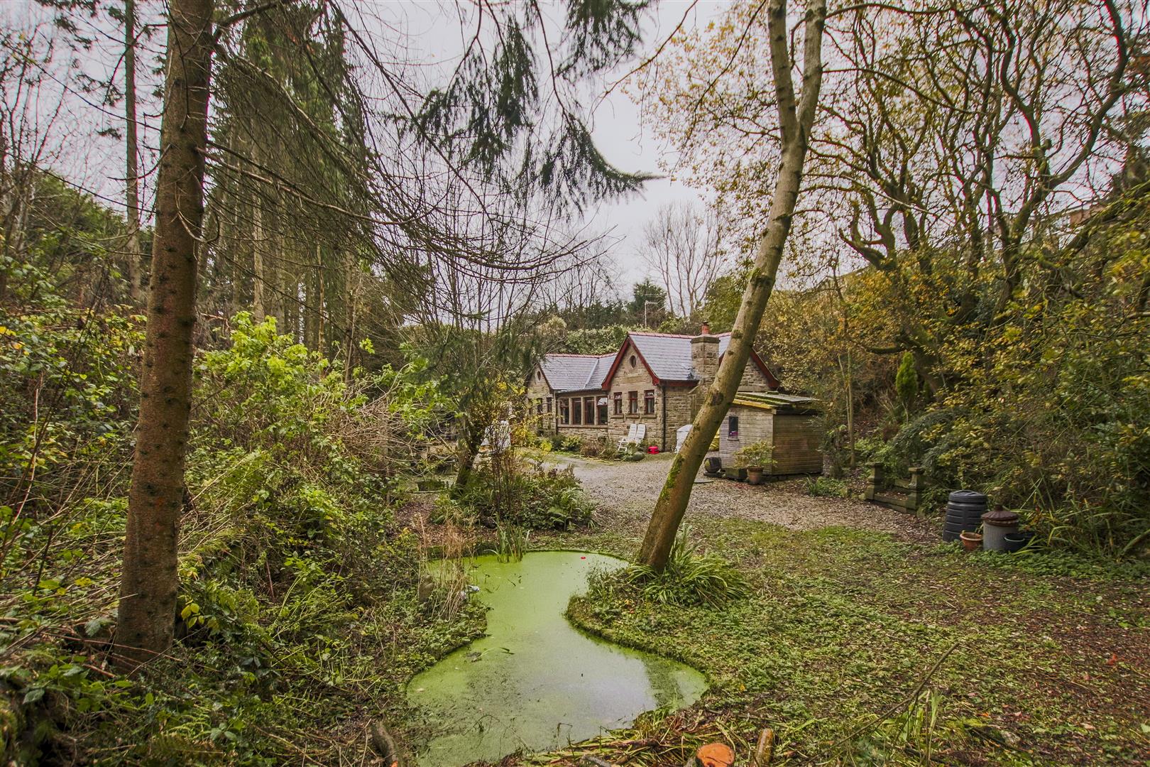 2 Bed Detached Bungalow For Sale - Main Image